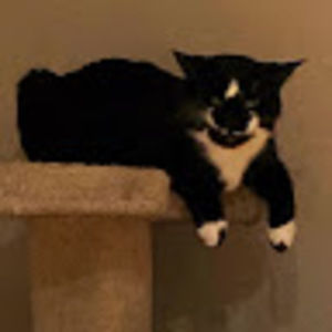 Meet your Posher, Retta